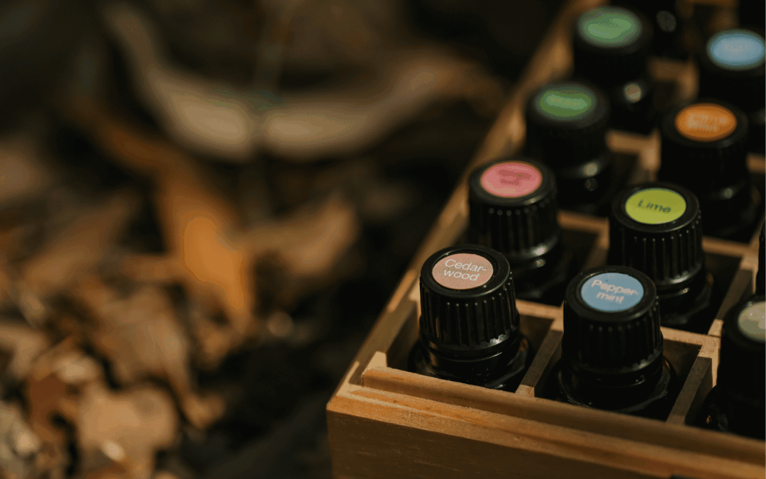 Bestes Olivenöl aus Italien: Warum apulisches EVOO die Spitzenklasse ist