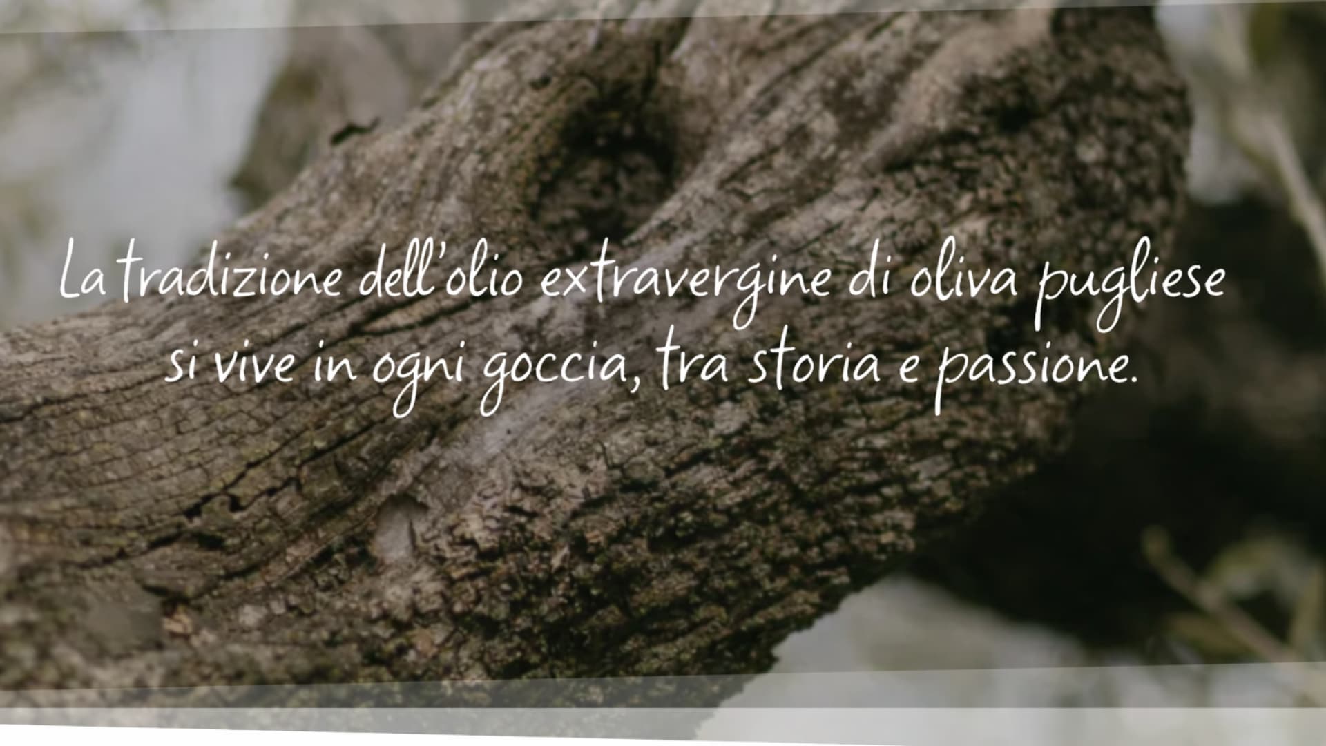 slider ramo olio con testo